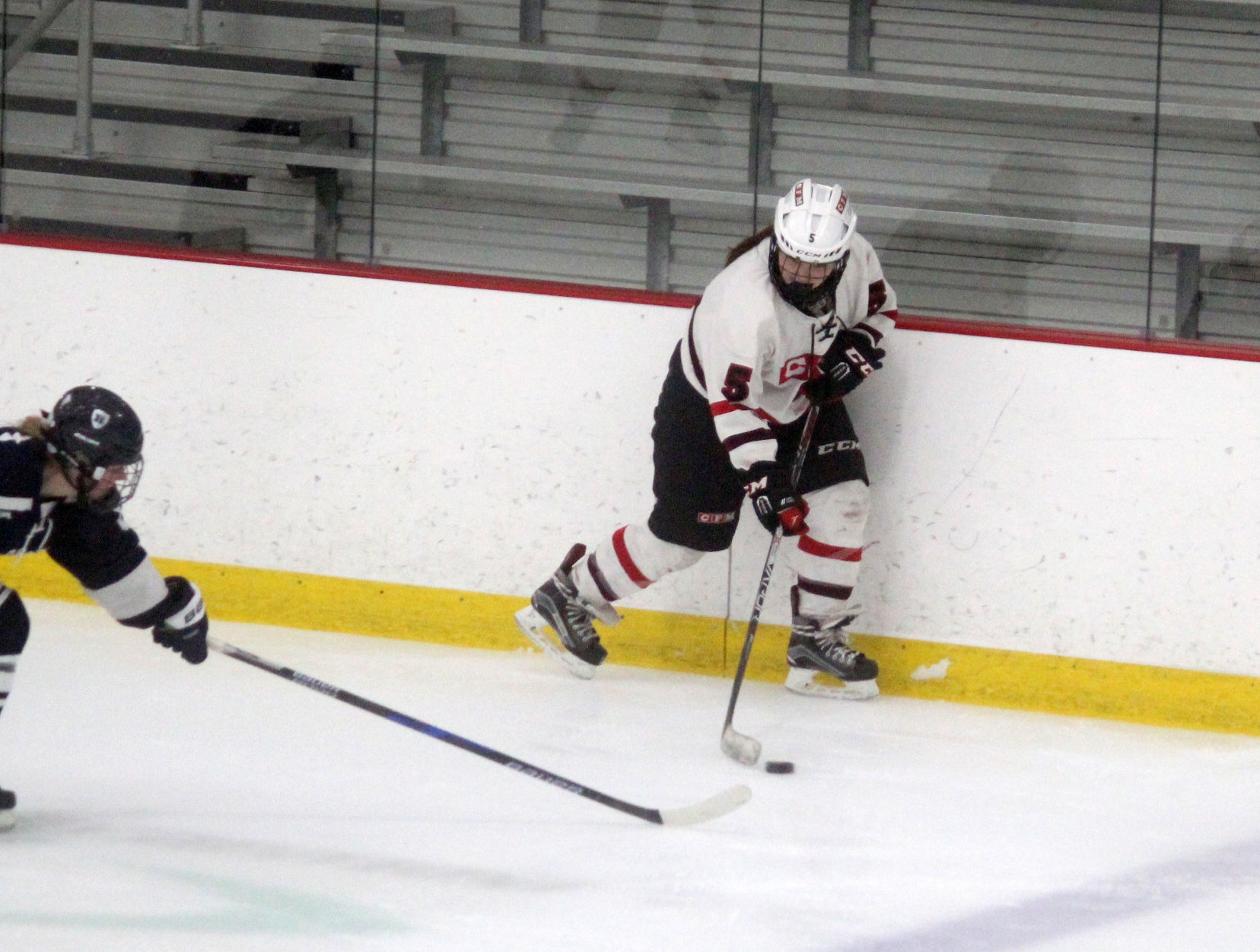 Hudson at Chi-Hi/Menomonie girls hockey 1-10-19